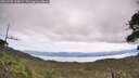 ./images/calvert/fitz-hugh-hecate/20260705/fitz-hugh-hecate20260705_115001M.jpg