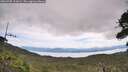 ./images/calvert/fitz-hugh-hecate/20260705/fitz-hugh-hecate20260705_121002M.jpg