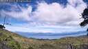 ./images/calvert/fitz-hugh-hecate/20260705/fitz-hugh-hecate20260705_141501M.jpg
