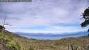 ./images/calvert/fitz-hugh-hecate/20260705/fitz-hugh-hecate20260705_153001M.jpg