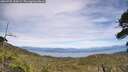 ./images/calvert/fitz-hugh-hecate/20260705/fitz-hugh-hecate20260705_154501M.jpg