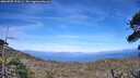 ./images/calvert/fitz-hugh-hecate/20260705/fitz-hugh-hecate20260705_173501M.jpg