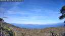 ./images/calvert/fitz-hugh-hecate/20260705/fitz-hugh-hecate20260705_180501M.jpg