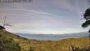 ./images/calvert/fitz-hugh-hecate/20260705/fitz-hugh-hecate20260705_193501M.jpg