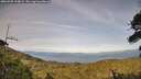 ./images/calvert/fitz-hugh-hecate/20260705/fitz-hugh-hecate20260705_194001M.jpg