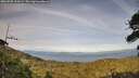 ./images/calvert/fitz-hugh-hecate/20260705/fitz-hugh-hecate20260705_194501M.jpg