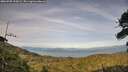 ./images/calvert/fitz-hugh-hecate/20260705/fitz-hugh-hecate20260705_195002M.jpg