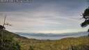 ./images/calvert/fitz-hugh-hecate/20260705/fitz-hugh-hecate20260705_200001M.jpg