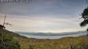 ./images/calvert/fitz-hugh-hecate/20260705/fitz-hugh-hecate20260705_200501M.jpg