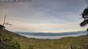 ./images/calvert/fitz-hugh-hecate/20260705/fitz-hugh-hecate20260705_202001M.jpg
