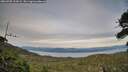 ./images/calvert/fitz-hugh-hecate/20260705/fitz-hugh-hecate20260705_204501M.jpg