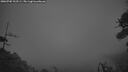 ./images/calvert/fitz-hugh-hecate/20260705/fitz-hugh-hecate20260705_223501M.jpg