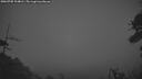 ./images/calvert/fitz-hugh-hecate/20260705/fitz-hugh-hecate20260705_224001M.jpg