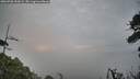 ./images/calvert/fitz-hugh-hecate/20260706/fitz-hugh-hecate20260706_053002M.jpg