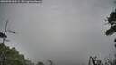 ./images/calvert/fitz-hugh-hecate/20260706/fitz-hugh-hecate20260706_061001M.jpg