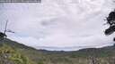 ./images/calvert/fitz-hugh-hecate/20260706/fitz-hugh-hecate20260706_100501M.jpg