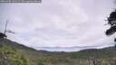 ./images/calvert/fitz-hugh-hecate/20260706/fitz-hugh-hecate20260706_101501M.jpg