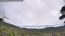 ./images/calvert/fitz-hugh-hecate/20260706/fitz-hugh-hecate20260706_102502M.jpg