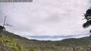 ./images/calvert/fitz-hugh-hecate/20260706/fitz-hugh-hecate20260706_104002M.jpg