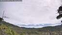./images/calvert/fitz-hugh-hecate/20260706/fitz-hugh-hecate20260706_105001M.jpg