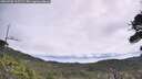 ./images/calvert/fitz-hugh-hecate/20260706/fitz-hugh-hecate20260706_105501M.jpg