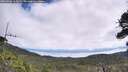 ./images/calvert/fitz-hugh-hecate/20260706/fitz-hugh-hecate20260706_113001M.jpg
