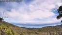 ./images/calvert/fitz-hugh-hecate/20260706/fitz-hugh-hecate20260706_130001M.jpg