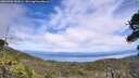 ./images/calvert/fitz-hugh-hecate/20260706/fitz-hugh-hecate20260706_133001M.jpg