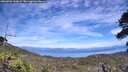 ./images/calvert/fitz-hugh-hecate/20260706/fitz-hugh-hecate20260706_144002M.jpg