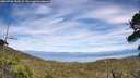 ./images/calvert/fitz-hugh-hecate/20260706/fitz-hugh-hecate20260706_152001M.jpg