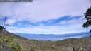 ./images/calvert/fitz-hugh-hecate/20260706/fitz-hugh-hecate20260706_155502M.jpg