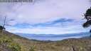 ./images/calvert/fitz-hugh-hecate/20260706/fitz-hugh-hecate20260706_160001M.jpg