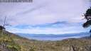 ./images/calvert/fitz-hugh-hecate/20260706/fitz-hugh-hecate20260706_160501M.jpg