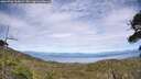 ./images/calvert/fitz-hugh-hecate/20260706/fitz-hugh-hecate20260706_163001M.jpg