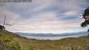 ./images/calvert/fitz-hugh-hecate/20260706/fitz-hugh-hecate20260706_170001M.jpg