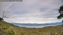 ./images/calvert/fitz-hugh-hecate/20260706/fitz-hugh-hecate20260706_170501M.jpg