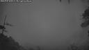 ./images/calvert/fitz-hugh-hecate/20260707/fitz-hugh-hecate20260707_044502M.jpg
