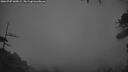 ./images/calvert/fitz-hugh-hecate/20260707/fitz-hugh-hecate20260707_045001M.jpg