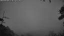 ./images/calvert/fitz-hugh-hecate/20260707/fitz-hugh-hecate20260707_045501M.jpg