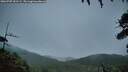 ./images/calvert/fitz-hugh-hecate/20260707/fitz-hugh-hecate20260707_051501M.jpg