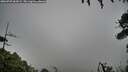 ./images/calvert/fitz-hugh-hecate/20260707/fitz-hugh-hecate20260707_064501M.jpg