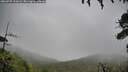 ./images/calvert/fitz-hugh-hecate/20260707/fitz-hugh-hecate20260707_111001M.jpg