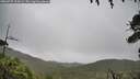 ./images/calvert/fitz-hugh-hecate/20260707/fitz-hugh-hecate20260707_114501M.jpg