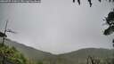 ./images/calvert/fitz-hugh-hecate/20260707/fitz-hugh-hecate20260707_115002M.jpg