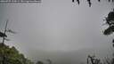 ./images/calvert/fitz-hugh-hecate/20260707/fitz-hugh-hecate20260707_135001M.jpg
