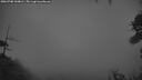 ./images/calvert/fitz-hugh-hecate/20260708/fitz-hugh-hecate20260708_044002M.jpg