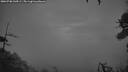 ./images/calvert/fitz-hugh-hecate/20260708/fitz-hugh-hecate20260708_044501M.jpg