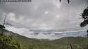 ./images/calvert/fitz-hugh-hecate/20260708/fitz-hugh-hecate20260708_072502M.jpg