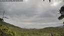 ./images/calvert/fitz-hugh-hecate/20260708/fitz-hugh-hecate20260708_081001M.jpg