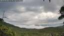 ./images/calvert/fitz-hugh-hecate/20260708/fitz-hugh-hecate20260708_082501M.jpg